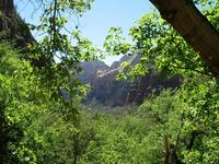 national park rjs3 crosscountry usa road trip zion 
