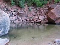 national park rjs3 crosscountry usa road trip zion 