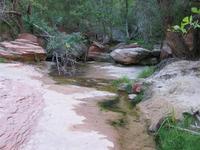 national park rjs3 crosscountry usa road trip zion 