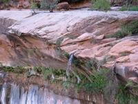national park rjs3 crosscountry usa road trip zion 