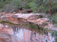 national park rjs3 crosscountry usa road trip zion 