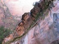 national park rjs3 crosscountry usa road trip zion 