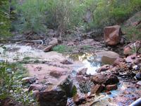 national park rjs3 crosscountry usa road trip zion 