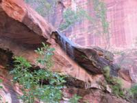 national park rjs3 crosscountry usa road trip zion 