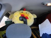 The car is loaded and Jr is ready to go.