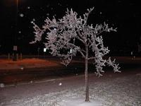 i guess freezing rain has some benefits