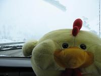Jr doesn't like snow.