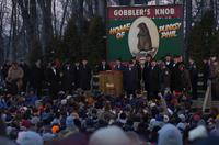 groundhog 