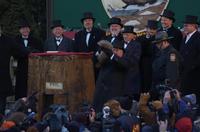 groundhog 