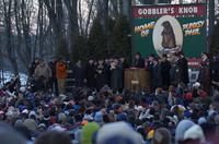 groundhog 