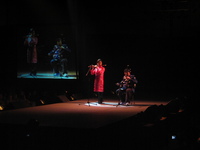 Lunar Gala 
