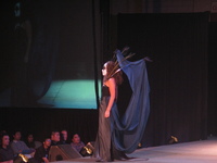 Lunar Gala 