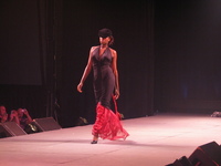 Lunar Gala 