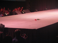 Lunar Gala 