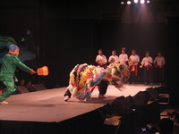 Lunar Gala 