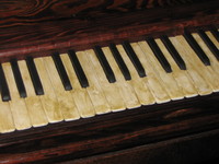 Prop for Dalhousie University. Photo taken by Rebecca Aldridge.