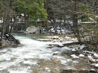 yosemite road trip 