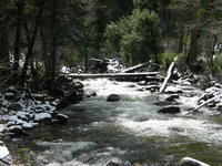 yosemite road trip 