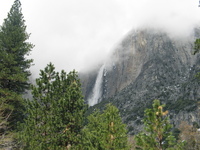 yosemite road trip 