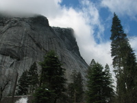 yosemite road trip 
