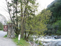 yosemite road trip 