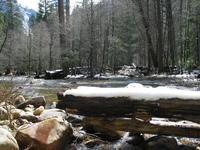 yosemite road trip 