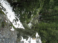 yosemite road trip 