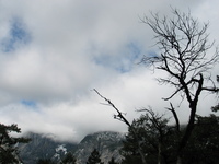 yosemite road trip 