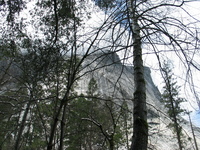 yosemite road trip 
