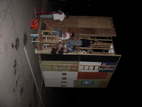 Carnival 