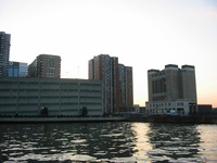 New York City trenshaw 