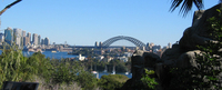 Sydney Skyline from Toronga Zoo (goats in foreground)