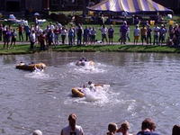 More of You Gotta Regatta!!