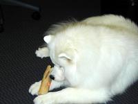 2521