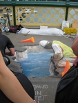 Sidewalk Art Show at Darling Harbour