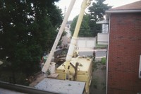 After a limb fell on the neighbor's car we decided to have the tree removed...