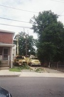 After a limb fell on the neighbor's car we decided to have the tree removed...