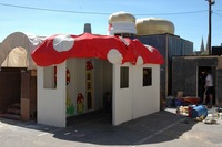 2006 Carnival 