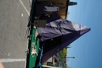 2006 Carnival 