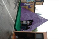 2006 Carnival 