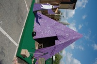 2006 Carnival 
