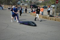 2006 Carnival 