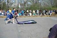 2006 Carnival 