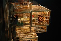 2006 Carnival 