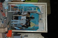2006 Carnival 