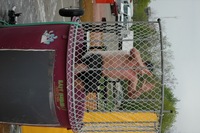 2006 Carnival 