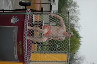 2006 Carnival 