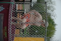 2006 Carnival 