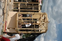 2006 Carnival 