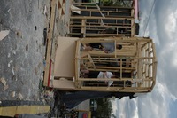 2006 Carnival 